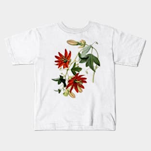 Passionfruit Flower Vintage Botanical Drawing Kids T-Shirt